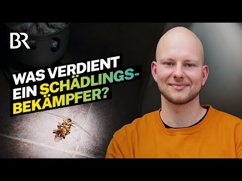 Auf der Jagd nach Kakerlaken: Gehalt und Beruf als Schädlingsbekämpfer | Lohnt sich das? | BR